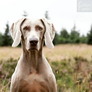 Felicity