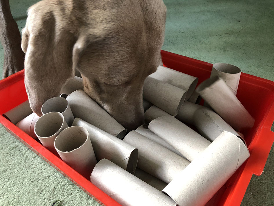 rolls