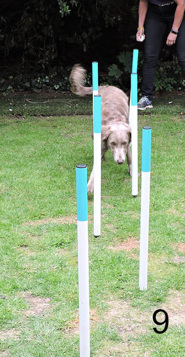 weave8