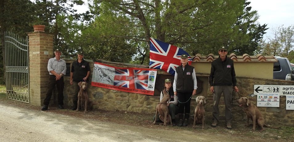 First Autumn  European Weimaraner  Cup
