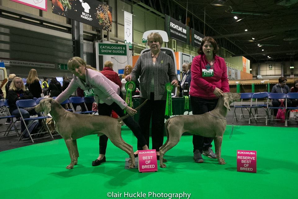 Crufts 2019